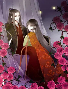 2022知乎答案奇遇夜