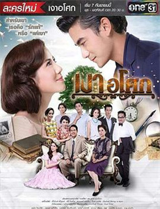 再婚伴侣老来福