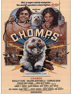 火车上的女孩2021