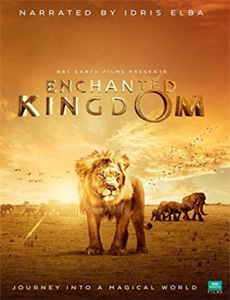 汤姆帕帕：非凡之日