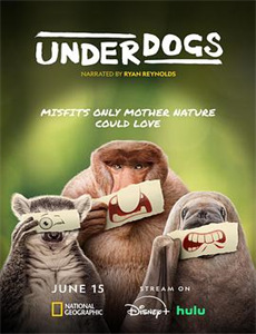 图书馆员:所罗门王的宝藏