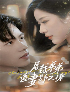 大国手之秦淮风月