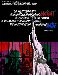 我的美人我的美